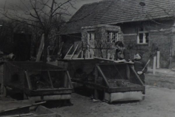 Czarno-białe zdjęcie przedstawia scenę z gospodarstwa domowego na wsi. Na pierwszym planie widoczne są drewniane klatki lub kojce, prawdopodobnie dla królików lub drobiu. Dwie osoby – kobieta i dziecko – stoją przy jednej z klatek. Kobieta jest pochylona i wydaje się karmić zwierzęta, podczas gdy dziecko w zimowej czapce i płaszczu obserwuje z boku. W tle znajduje się murowany dom z dwuspadowym dachem, z widocznymi oknami i otwartym wejściem. Drzewa bez liści i brak śniegu sugerują późną jesień lub wczesną wiosnę. Całość oddaje spokojną, codzienną atmosferę życia na wsi.