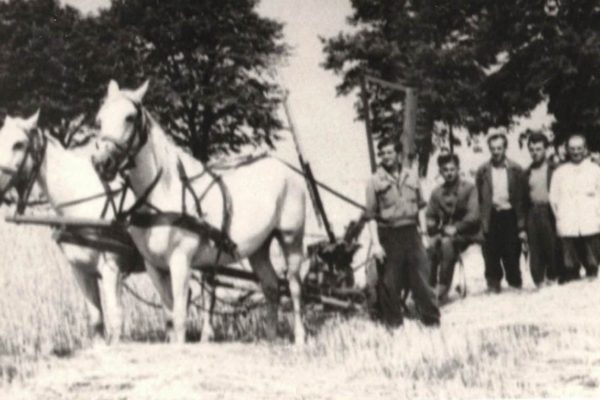 / ze zbiorów Janiny Korek i Cezarego Szypulskiego