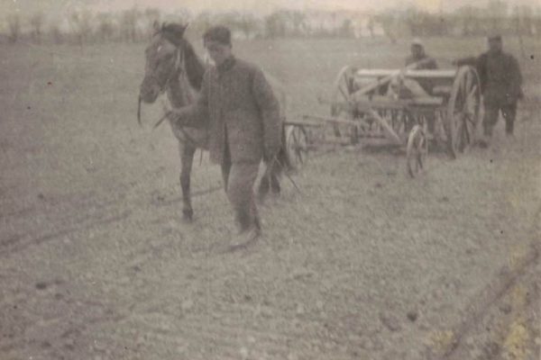 / ze zbiorów Janiny Korek i Cezarego Szypulskiego