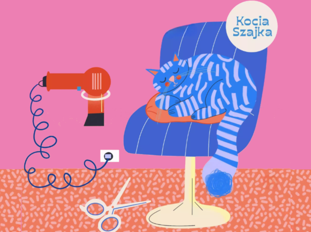 Na ilustracji znajduje się niebieski kot w błękitne prążki. Śpi na fryzjerskim fotelu. Na podłodze leżą nożyce, a na wieszaku po lewej wisi czerwona suszarka do włosów. Ściany w salonie fryzjerskim są koloru różowego.